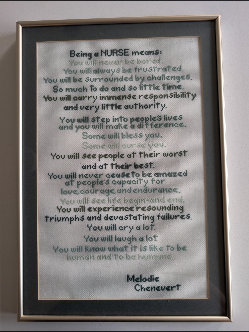 Framed Melodie Chenevert "Being a Nurse" Cross Stitch - 16x11 Green Ombre